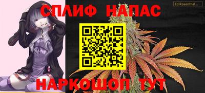 тгк Дубна